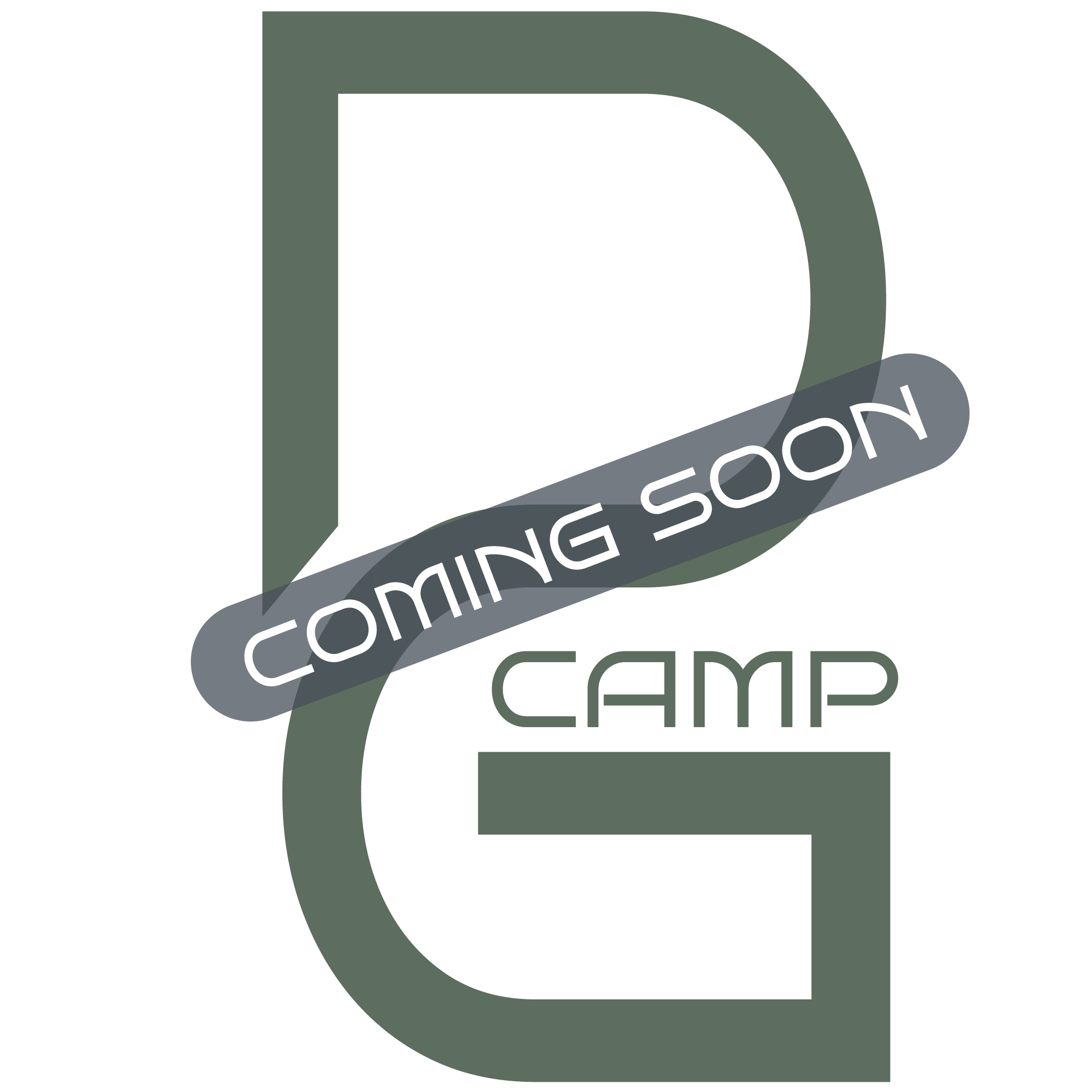 DVI-Grip Camp